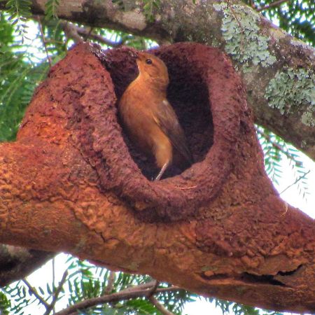 Pousada Mandalla Serra do Cipo National Park Luaran gambar