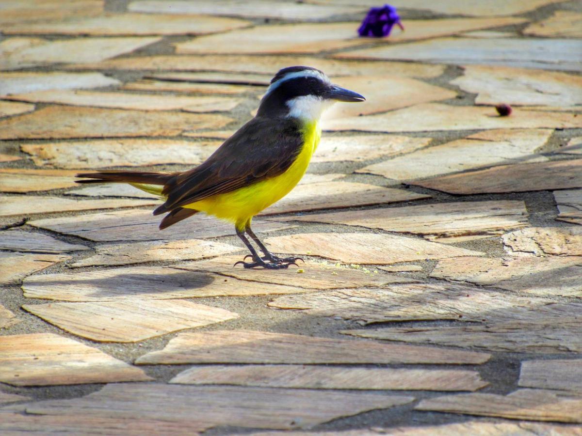 Pousada Mandalla Serra do Cipo National Park Luaran gambar