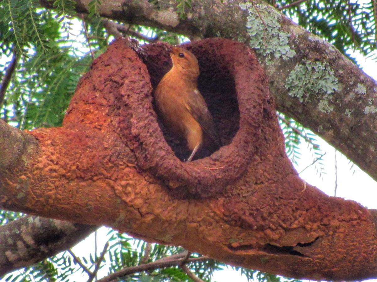 Pousada Mandalla Serra do Cipo National Park Luaran gambar